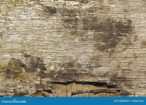 Textura De Madera De Tablones De Madera Antiguos Como Primer Plano De