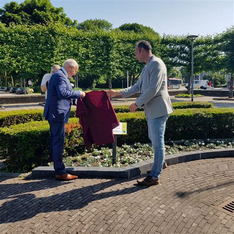 Wit Anjerperkje Veteranen Nieuws Historisch Genootschap Hendrik