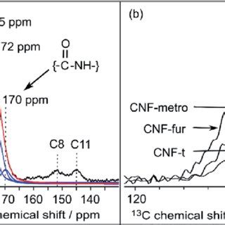 Dnp Enhanced Solid State Nmr Of Surface Modified Cnfs C Cpmas Nmr