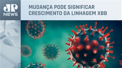 Fiocruz alerta para possível aumento de nova linhagem do coronavírus