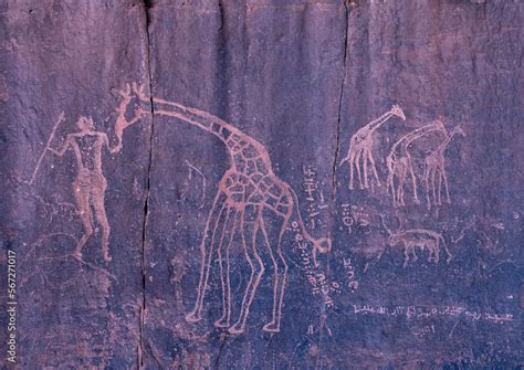 Rock Carvings Depicting A Warrior With Giraffes Tassili N Ajjer