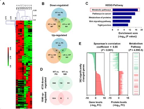 Rna Sequencing And Mrna Protein Correlation Analysis A Hierarchical