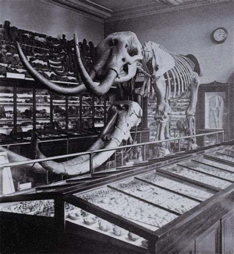 Mastodon On Tumblr