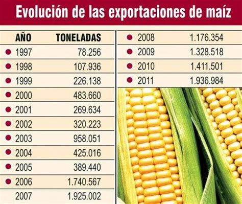 Exportación de maíz creció un 37 ABC Rural ABC Color