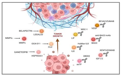 Cancers Free Full Text Pancreatic Cancer Secreted Proteins