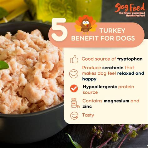 Turkey & Duck Premium Pack - Healthy Cooked DF Dog Food - DF Dog Food ...