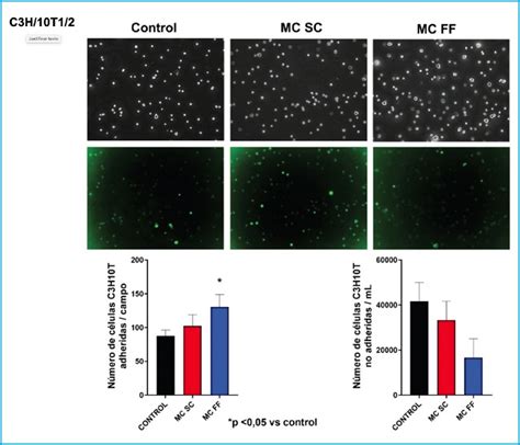 El Secretoma De Los Osteocitos Estimulados Mec Nicamente Modula La