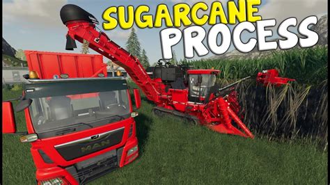 How Does Sugarcane Work Farming Simulator Youtube