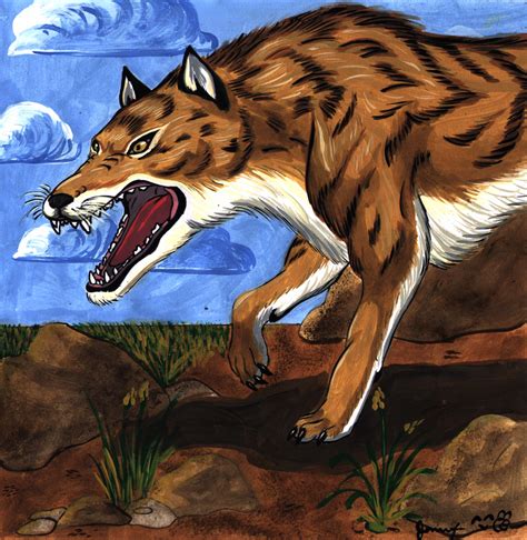 Andrewsarchus by FullmetalDevil on deviantART