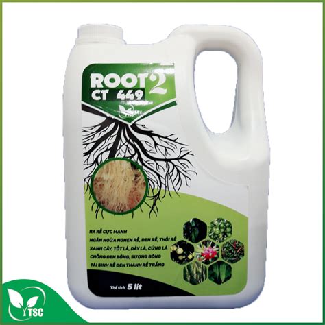 ROOT 2 – Công ty Sản Xuất Thương Mại Thụy Sỹ