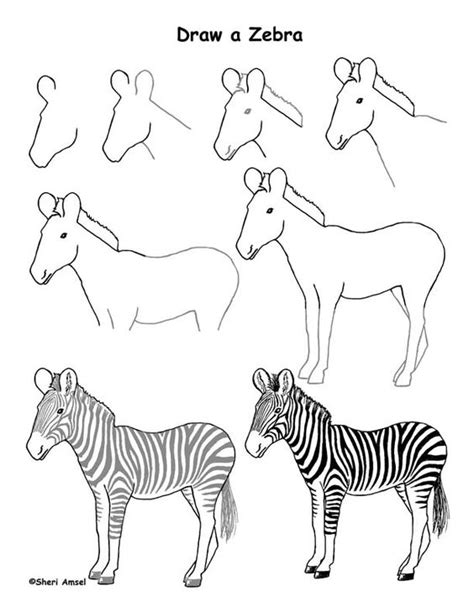 15 Tutorials And Guides How To Draw A Zebra The Things To Draw Journey