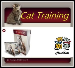 Cat Training! | eBooks | Pets