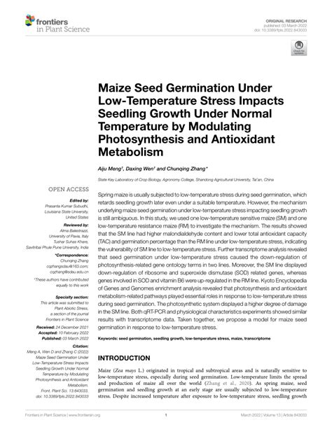 (PDF) Maize Seed Germination Under Low-Temperature Stress Impacts ...