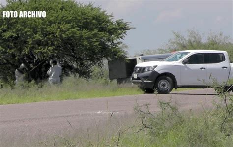 En Pinos Hallaron A Dos Hombres Torturados Y Ejecutados Colgados En Un