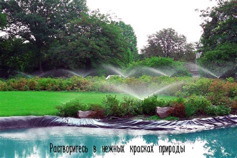 Автоматический полив, дождеватели, системы автополива, заглублённая ...