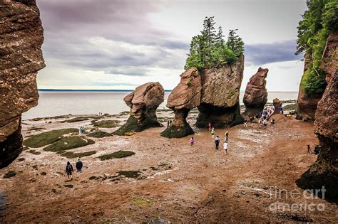 Hopewell Rocks at low tide Photograph by Claudia M Photography - Fine Art America