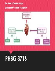 Heart Cardiac Output Pdf The Heart Cardiac Output Sherwood