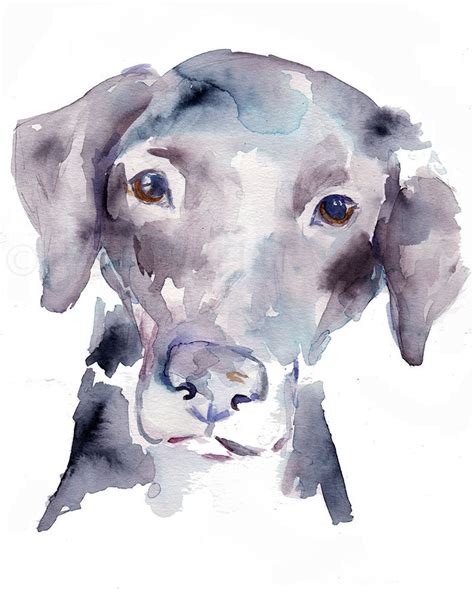 Black Labrador Watercolor Print Black Lab By Etsy