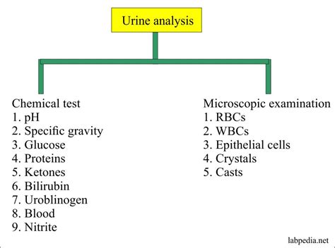 Urine Analysis Part 3 Types Of Urine Samples Preservatives And Urine Analysis