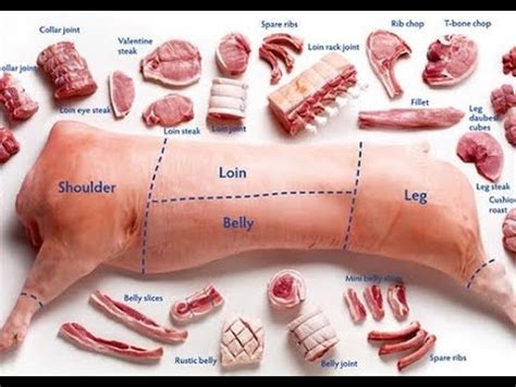 Pig Butcher Cut Sheet Top Picked From Our Experts