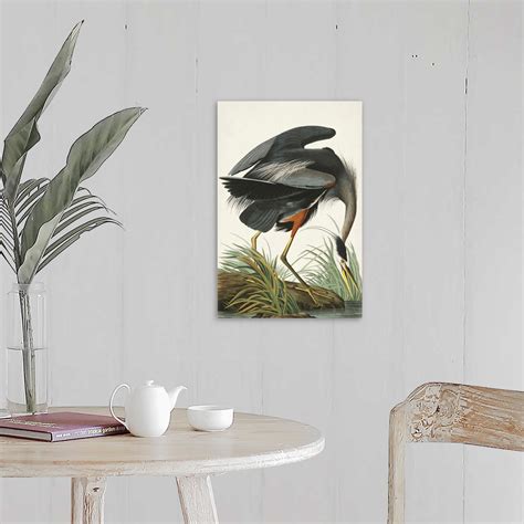 Great Blue Heron Wall Art Canvas Prints Framed Prints Wall Peels