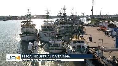 Jornal Do Almo O Sc Blumenau Pesca Industrial Da Tainha