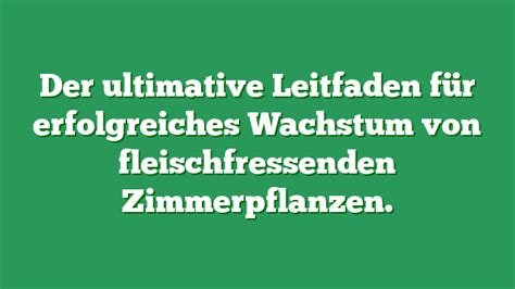 Der Ultimative Leitfaden F R Erfolgreiches Wachstum Von