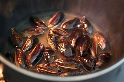 Gastronomic (Mis)Adventures : Recipe: Mussels with White Wine Sauce