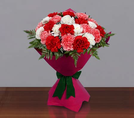 Colorful Carnations - Pink & White Flowers | Same Day Delivery to ...