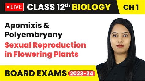 Apomixis Polyembryony Sexual Reproduction In Flowering Plants