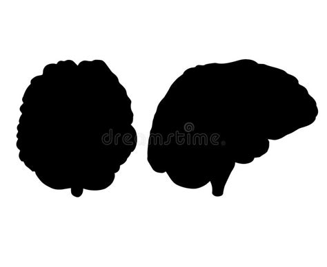 Vector Hand Drawn Human Brain Silhouette Stock Vector Illustration Of