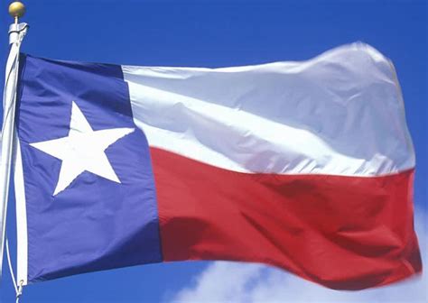 Texas State Flags Nylon Polyester 2 X 3 To 5 X 8 US Flag Store