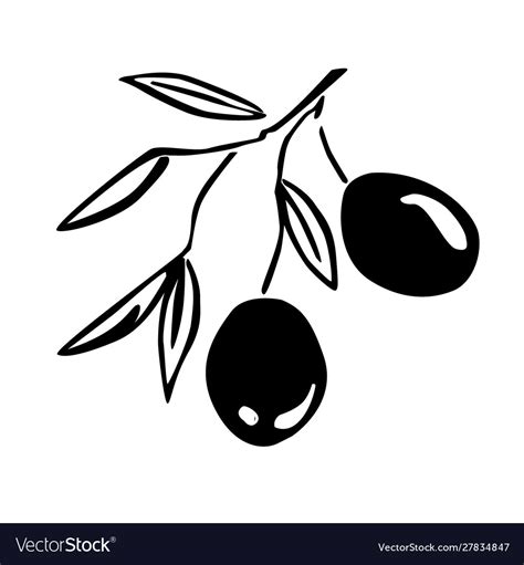 Stylized Olive Branch Silhouette With Olives Vector Image