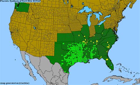 2013 Bonap North American Plant Atlas Taxonmaps