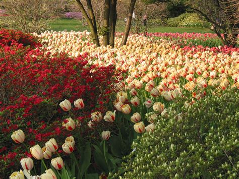 Gallery Sherwood Gardens