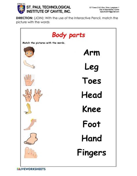 Body Parts Online Exercise For Kindergarten Live Worksheets Worksheets Library