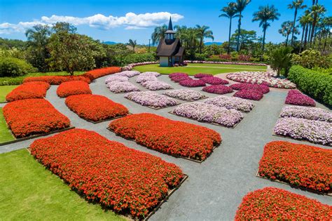 Jardim de Flores Hemero