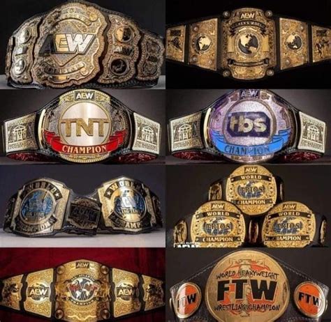 Pin By Jay Driguez On A Championship Titles Of Our Life Time Wwe