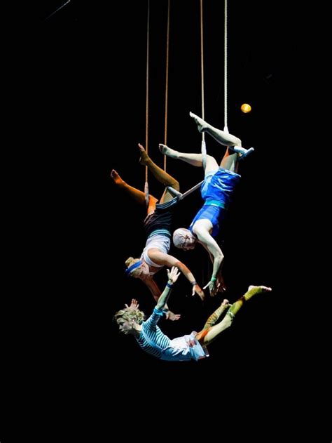 Porto Coliseum Circus With Award Winning Artists And Absolute Debut