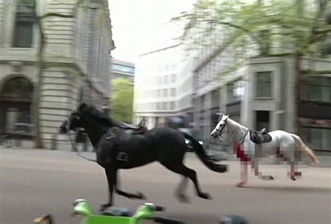 Cavalry Horses Run Amok In Central London And Injure Four People