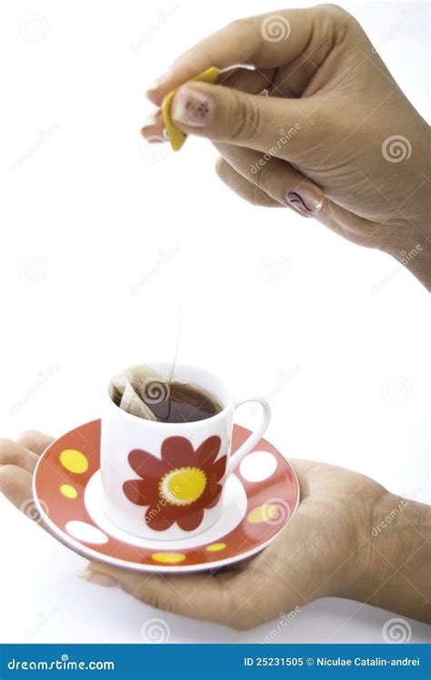 Red Tea Cup Hold In Hands Stock Image Image Of Cuppa 25231505