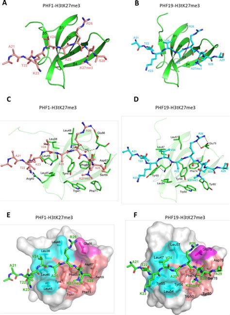 Structural Basis For Histone Variant H3tK27me3 Recognition By PHF1 And