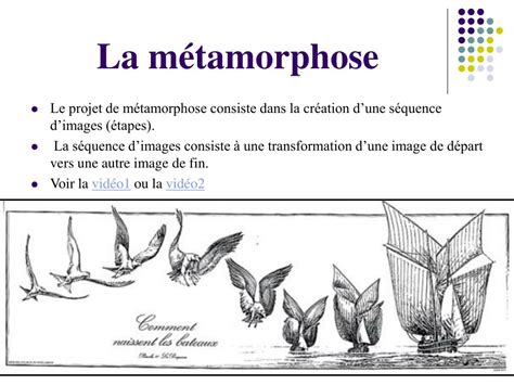 PPT Création dune métamorphose PowerPoint Presentation free