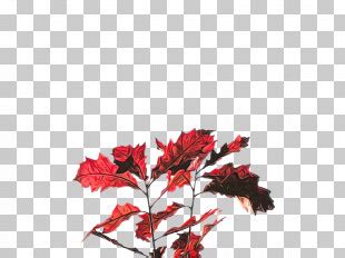 Twig Vegetation Leaf OpenGameArt Org Plant PNG Clipart Base Branch