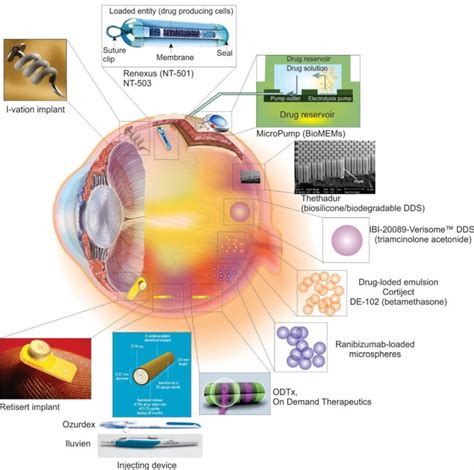 Advanced Drug Delivery And Targeting Technologies For The Ocular