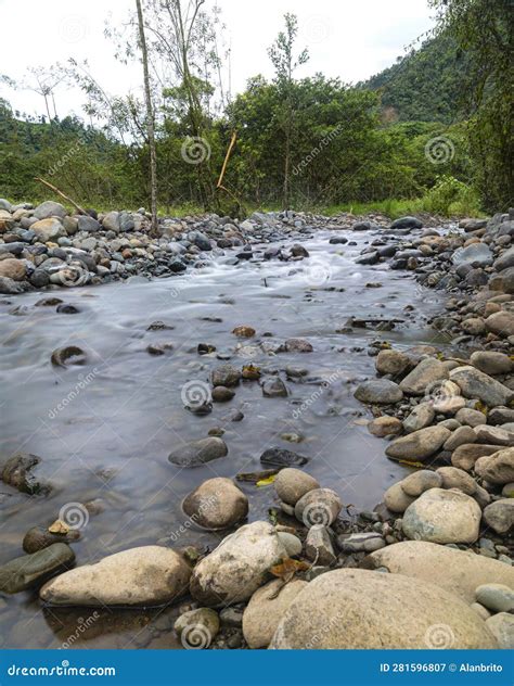 River Water Flowing Down Stream Mindo Ecuador Stock Image Image Of