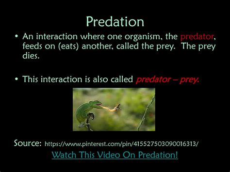 Species Relationships Ppt Download