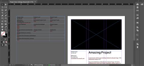 ways   track  project data    rmr consulting