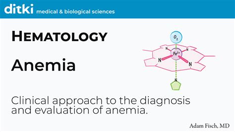 Clinical Pathology Anemia Ditki Medical Biological Sciences