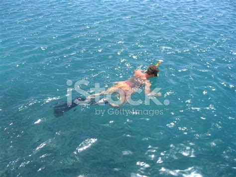 Snorkeling In Curacao Stock Photo | Royalty-Free | FreeImages